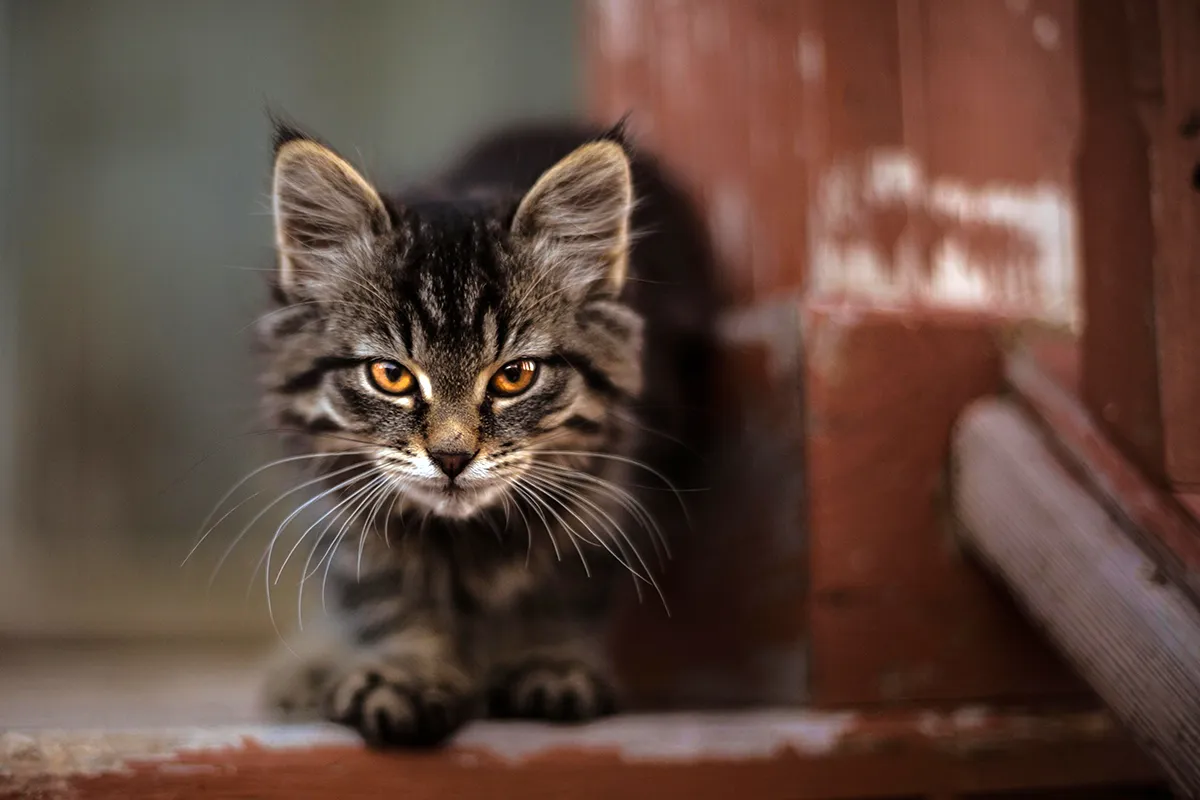 42 north oe7h8zp1mw8 unsplash