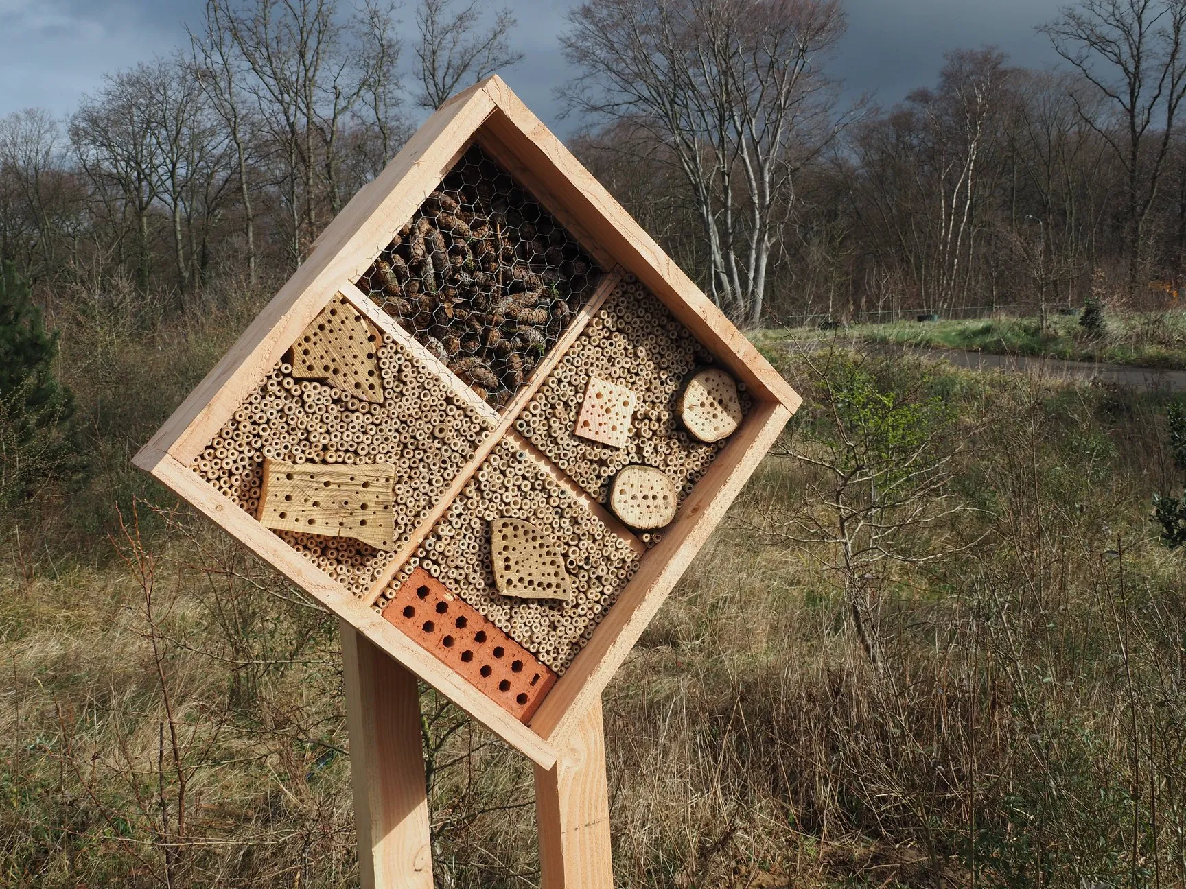 53480561 1053829124826957 6153489744803135488 o