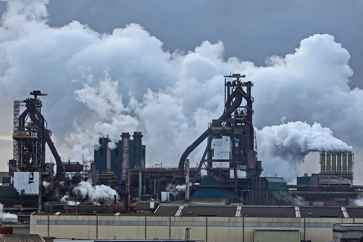 5i5a7365 tata wim meijer fotografie 1