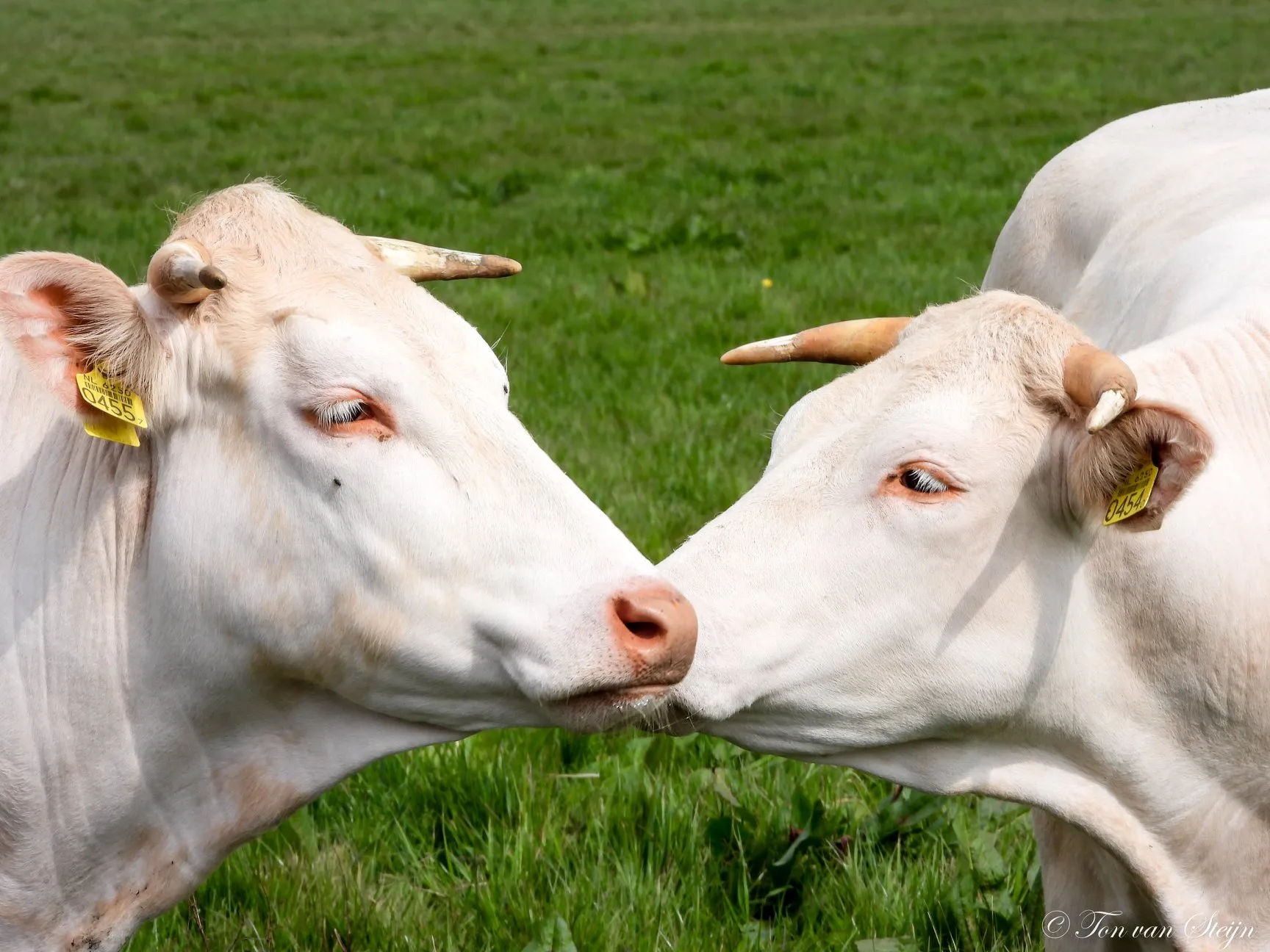 93575502 2794823923950189 1768869022293557248 o