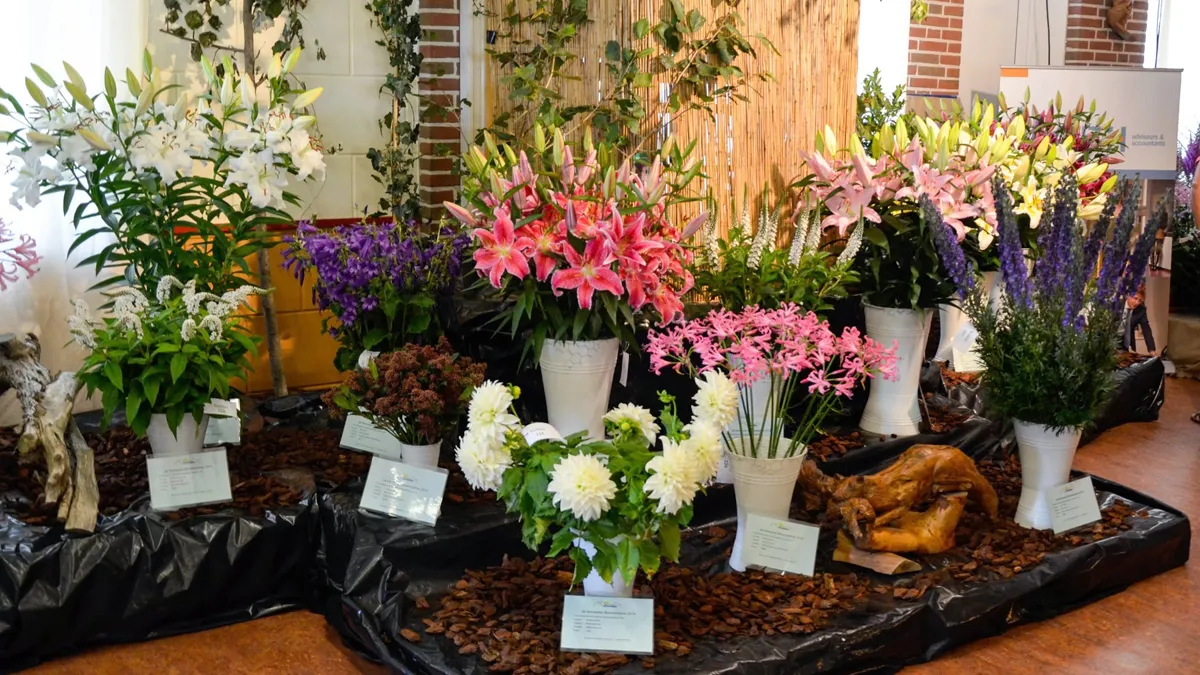 banner evelaer bloemenshow