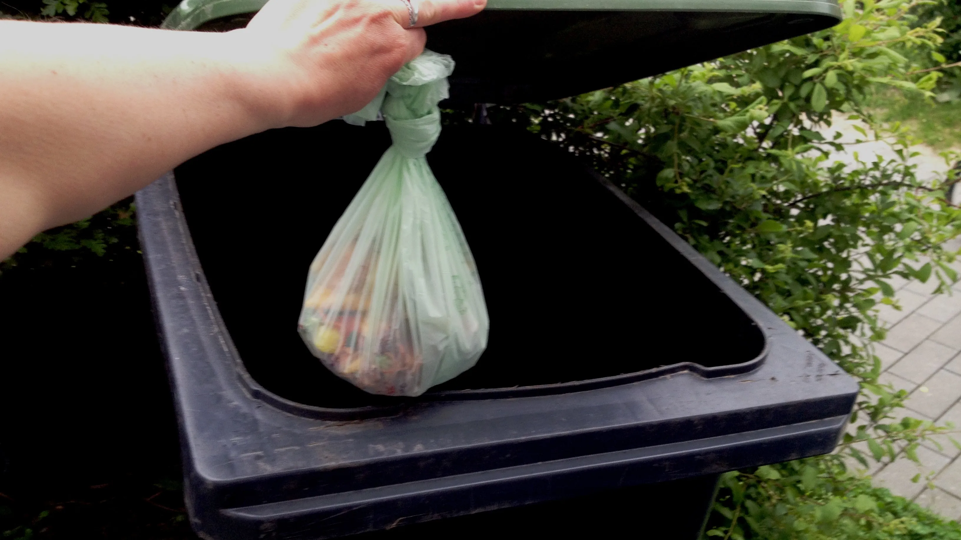 csm gft bak biozakje 032e5993e9