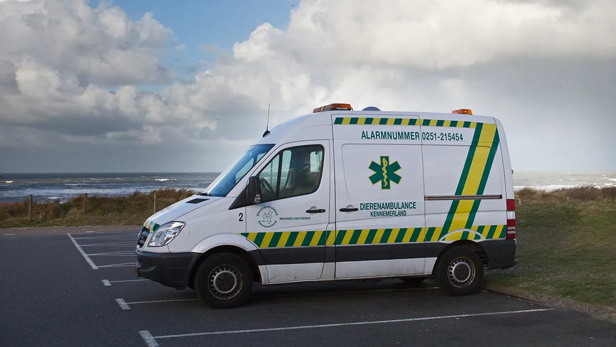 dierenambulance