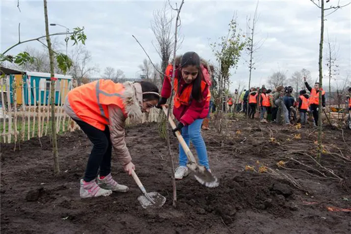 eerstekleinewildernisaangelegdinzaandam 1zaandam 1