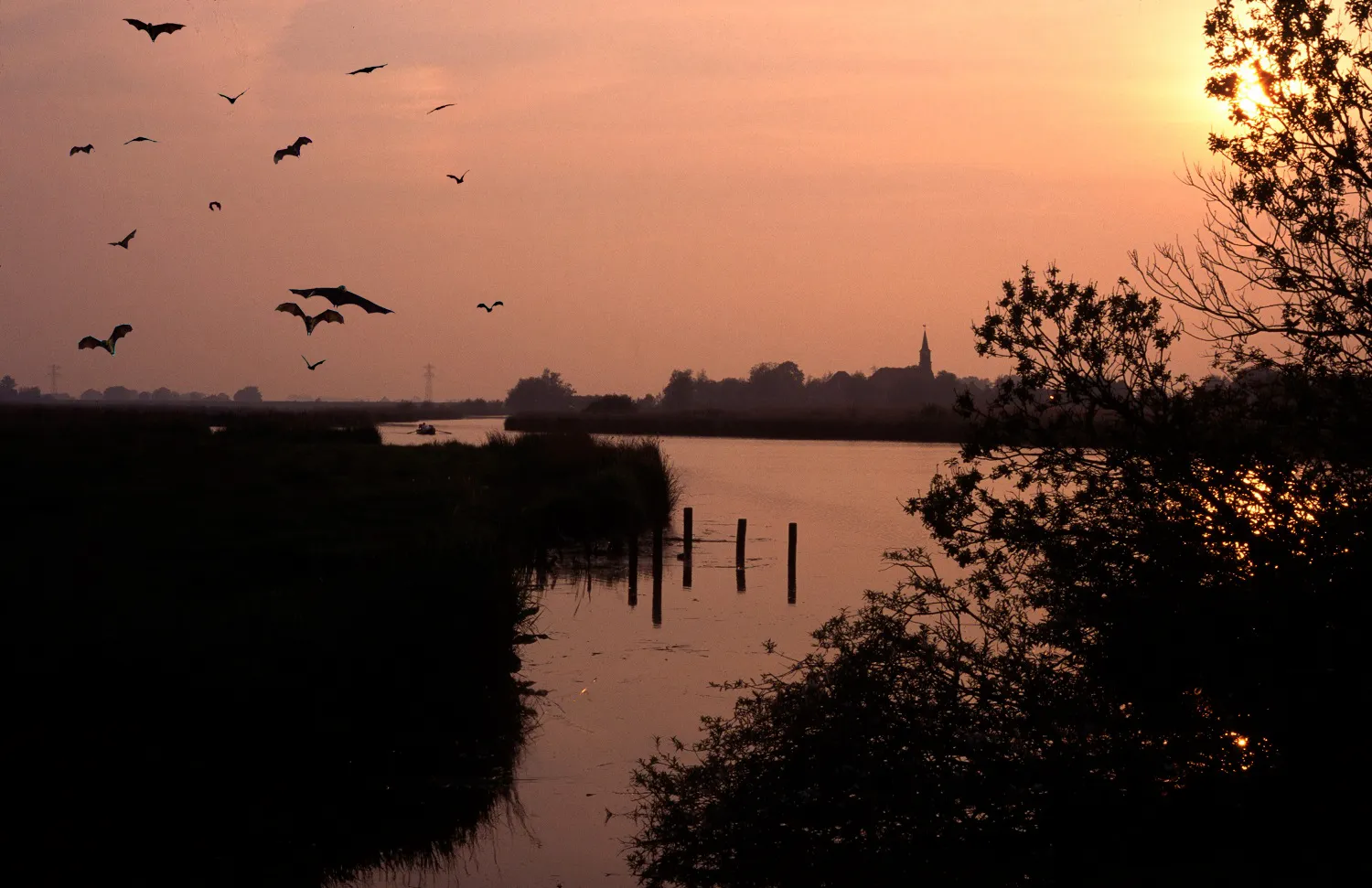 eilandspolder de lei jos teeuwisse 1500 bew