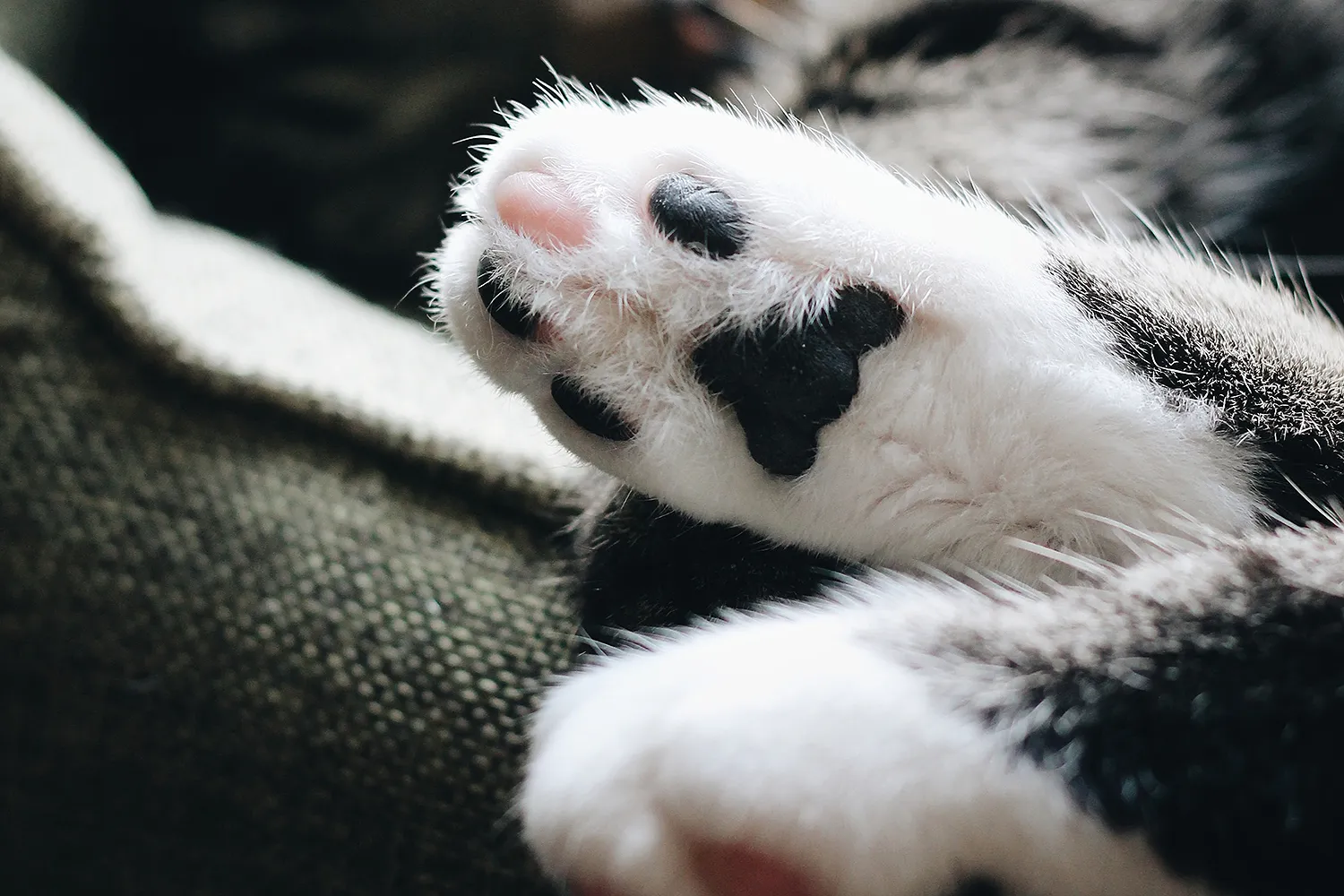 erik jan leusink gr1uyhbfkd4 unsplash