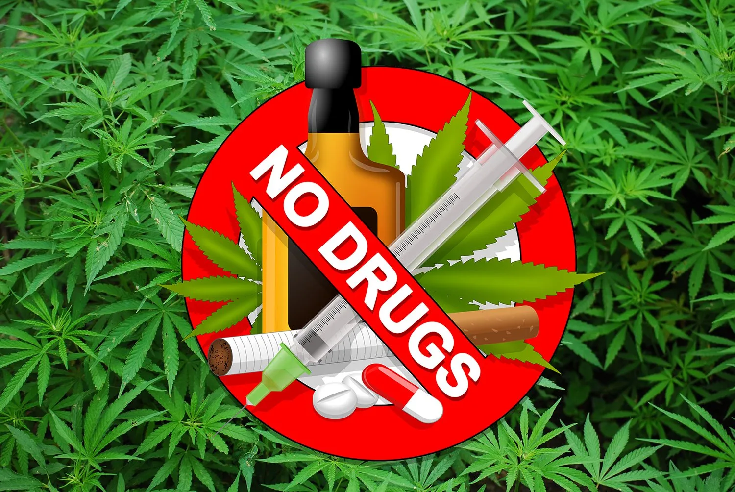 foliage 1157792 1920 drugs pixabay