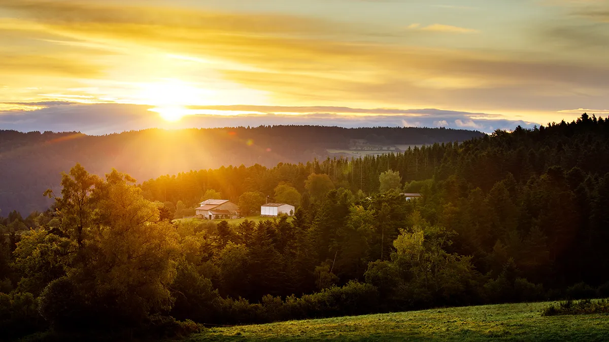 fotolicht van nando harmsen