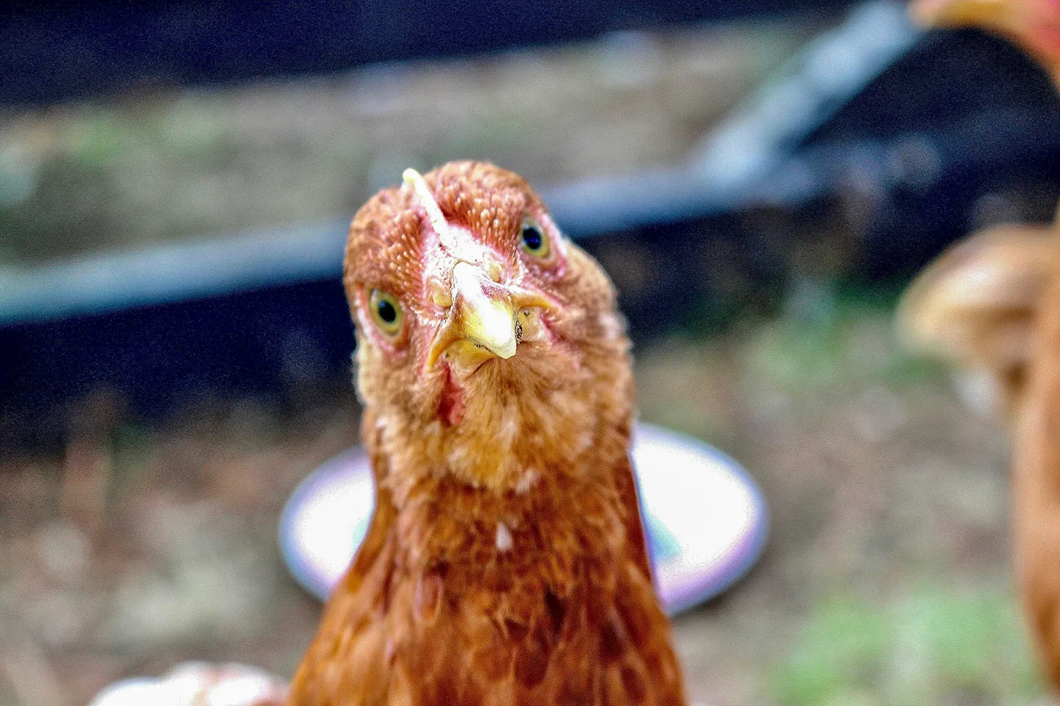 hana oliver ltb41v0u25u unsplash kopieren