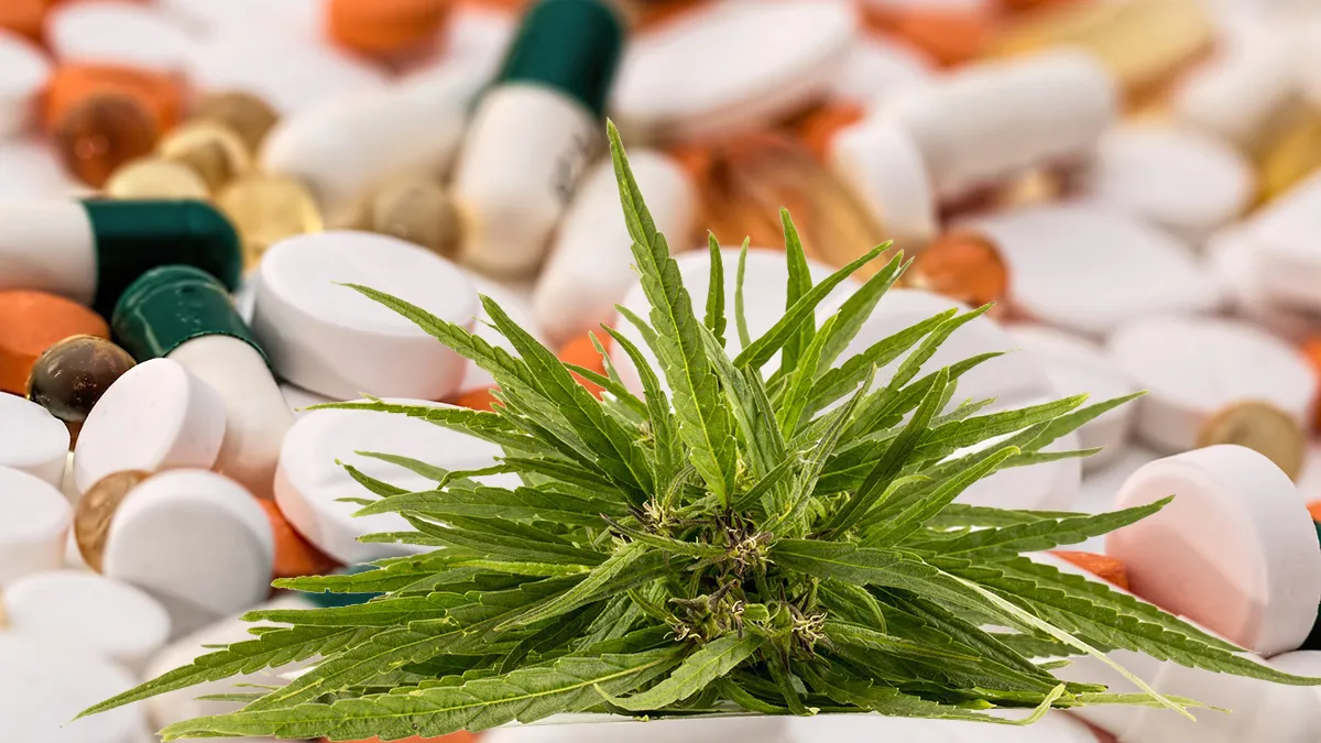 headache 1540220 1920 pixabay