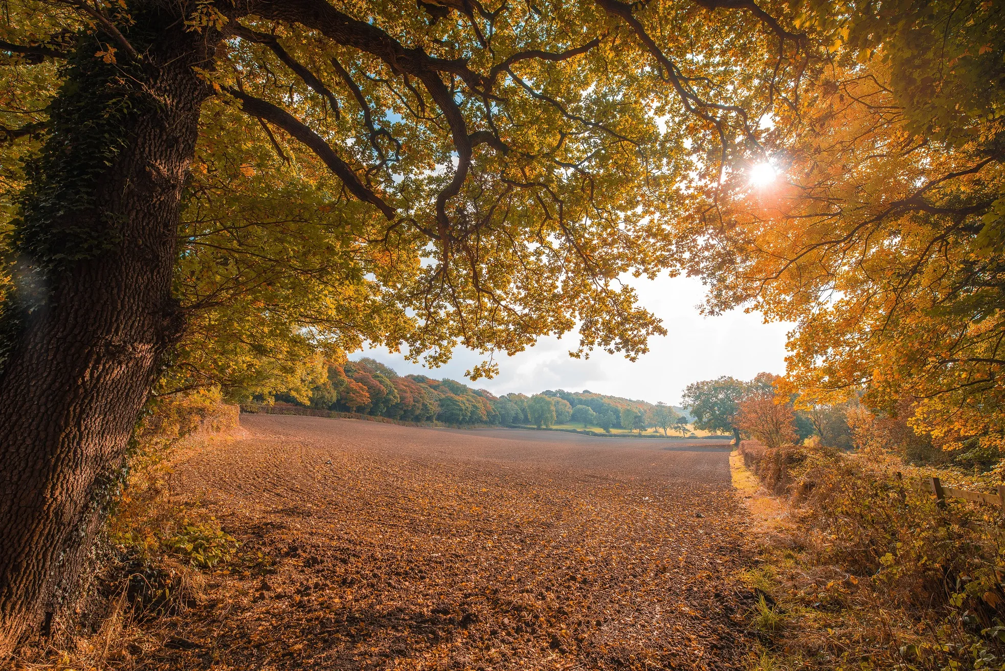 herfstlandschap klein