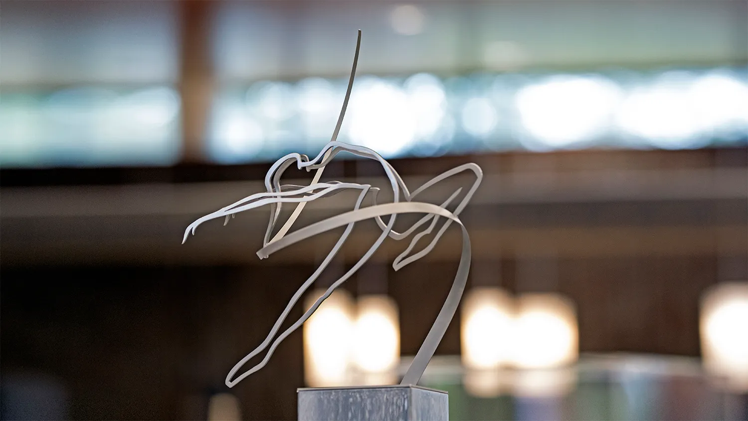 hoofdfoto marcel timmers