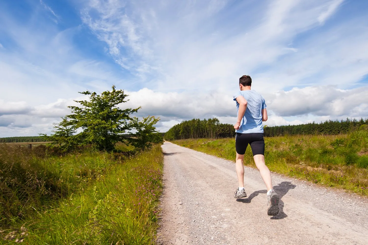 jenny hill mqvwb7kuooe unsplash 1