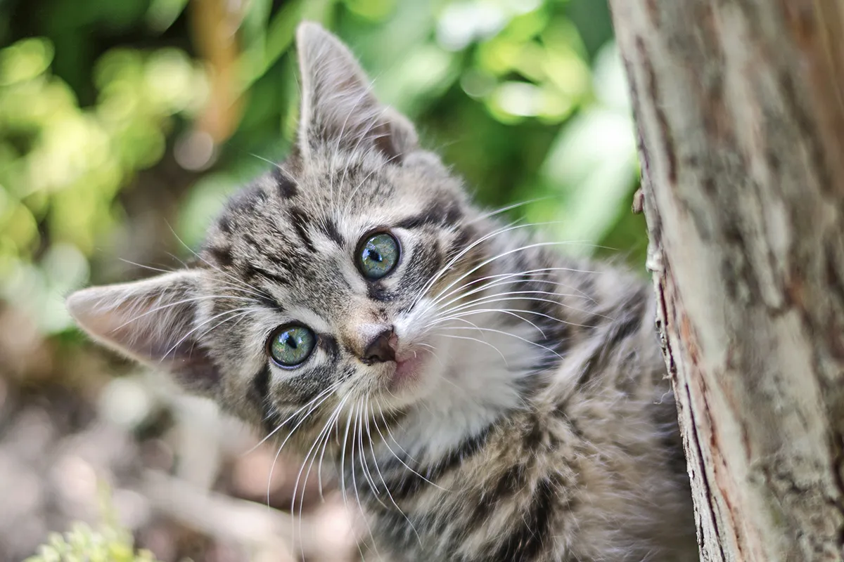 koen eijkelenboom qpjl dxqrd8 unsplash