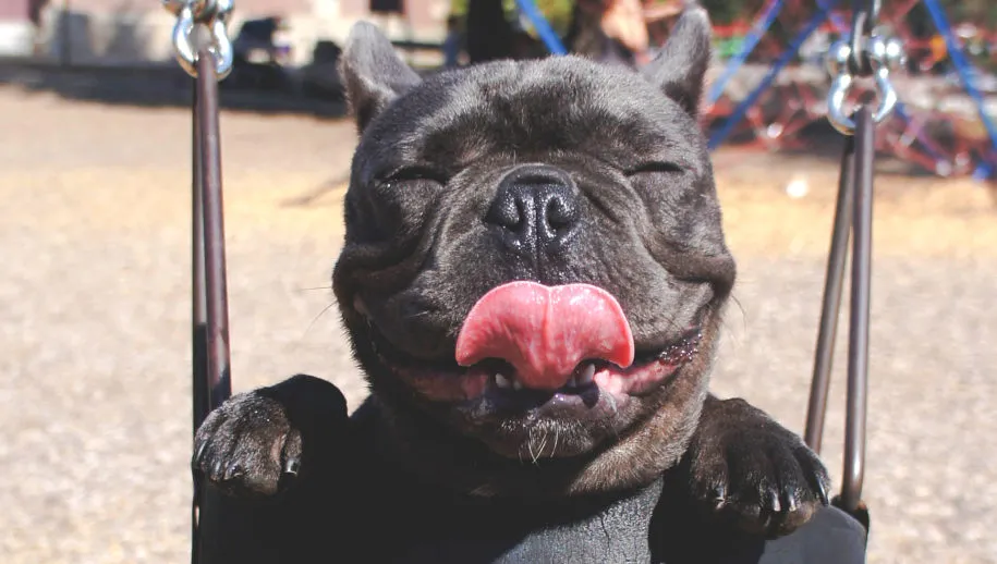 marion michele z eflp9as6s unsplash 915x518