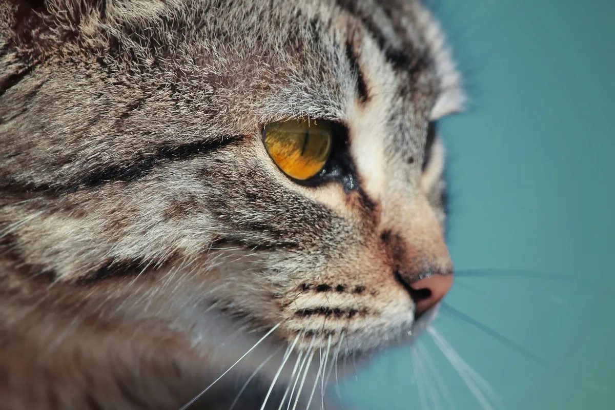 mohamed nohassi 3mcejcu6luq unsplash