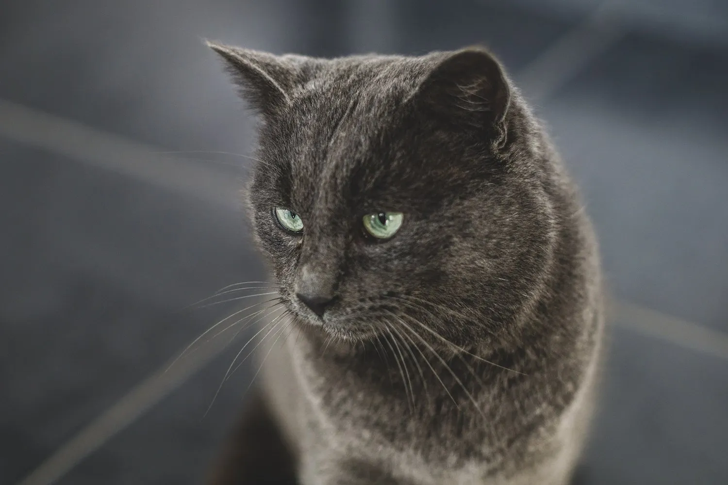 nazarii yurkov xcqbmqdyz50 unsplash