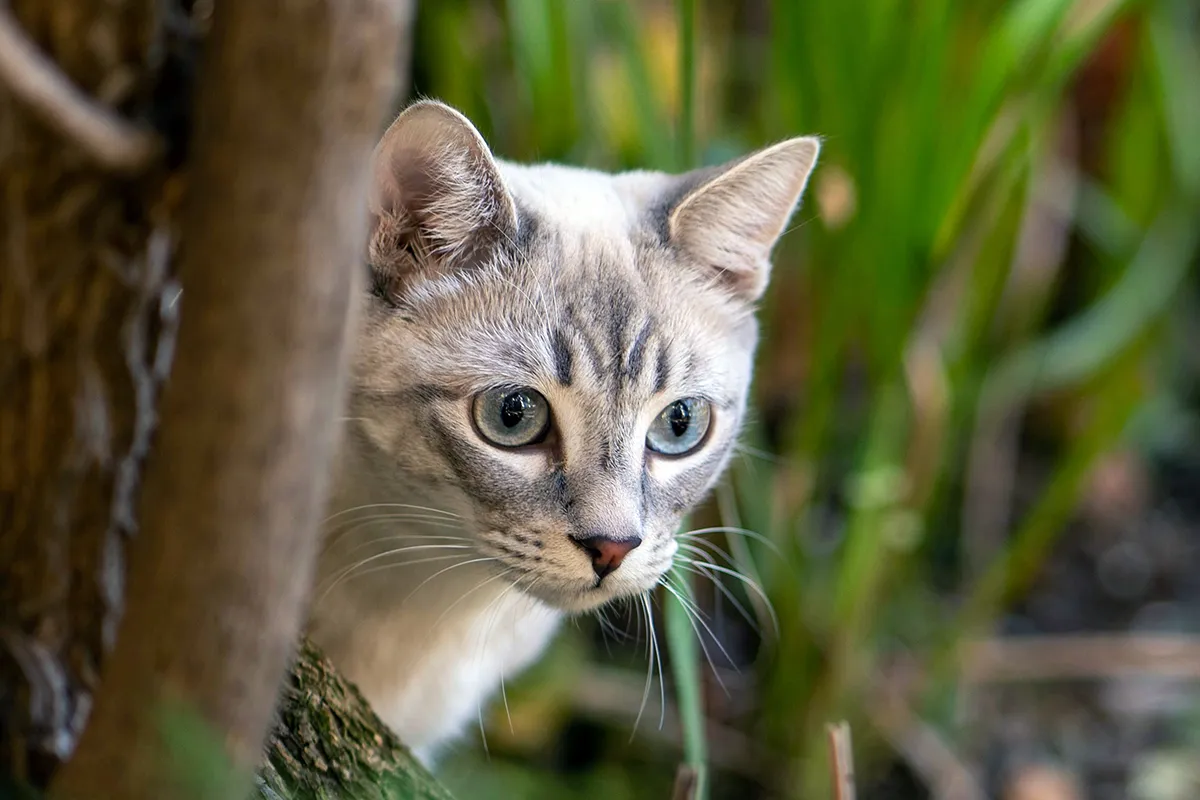 oz seyrek ryy8unjqodu unsplash kopieren