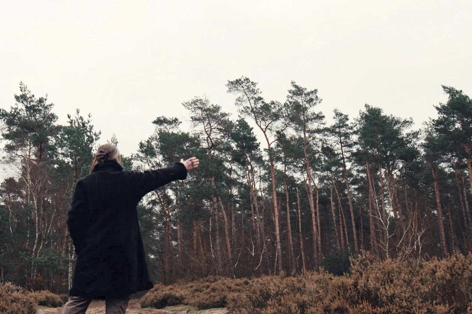 pers foto ufos in soesterberg josie graded