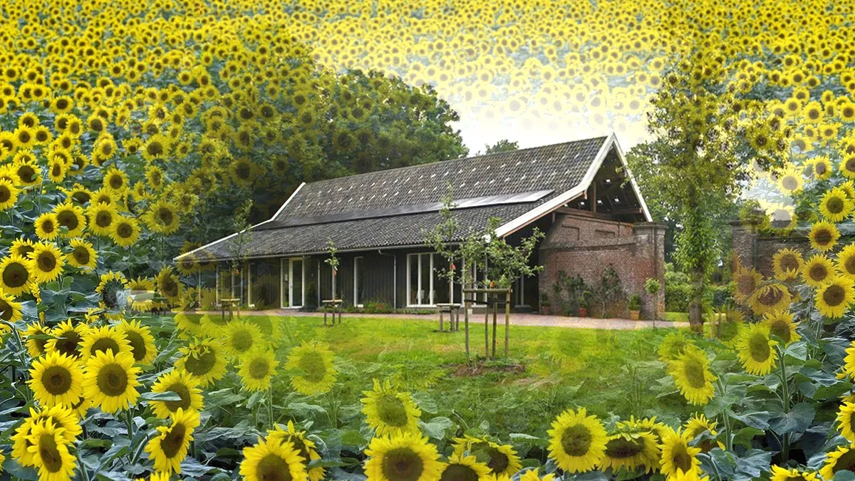 pixabay wim meijer fotografie