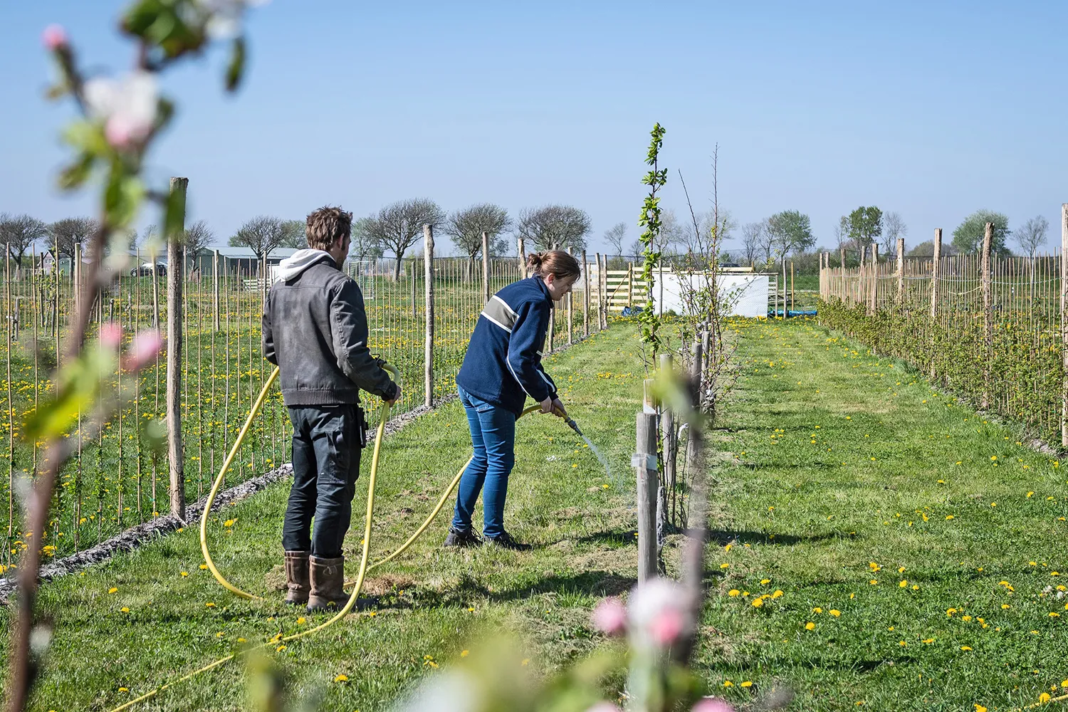 pluktuin van geesje 14