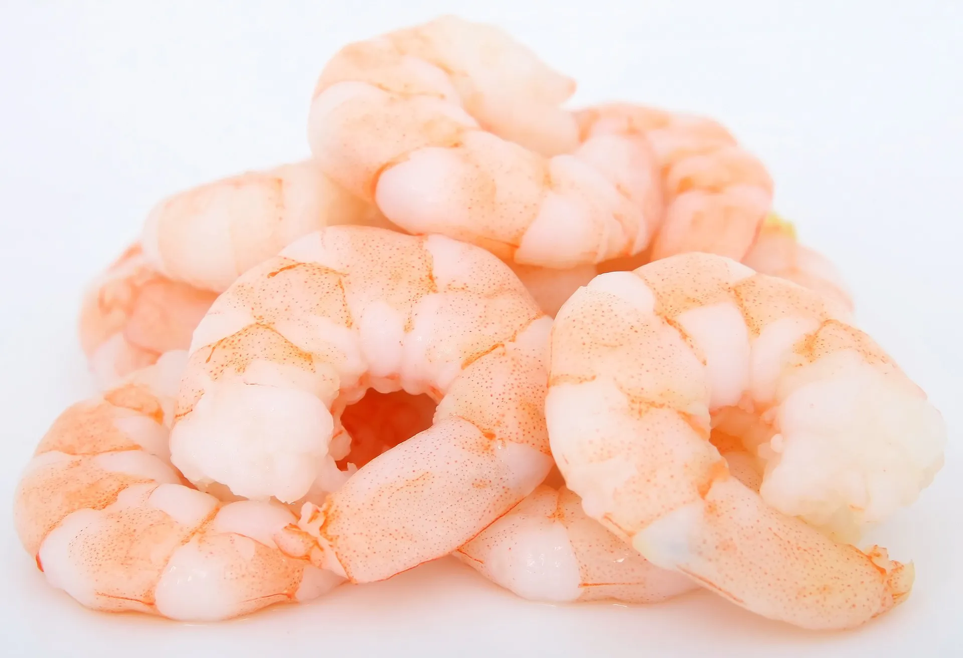 prawns pixabay