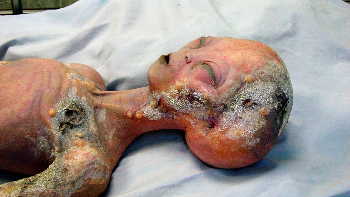 roswell alien 4889611102 wiki