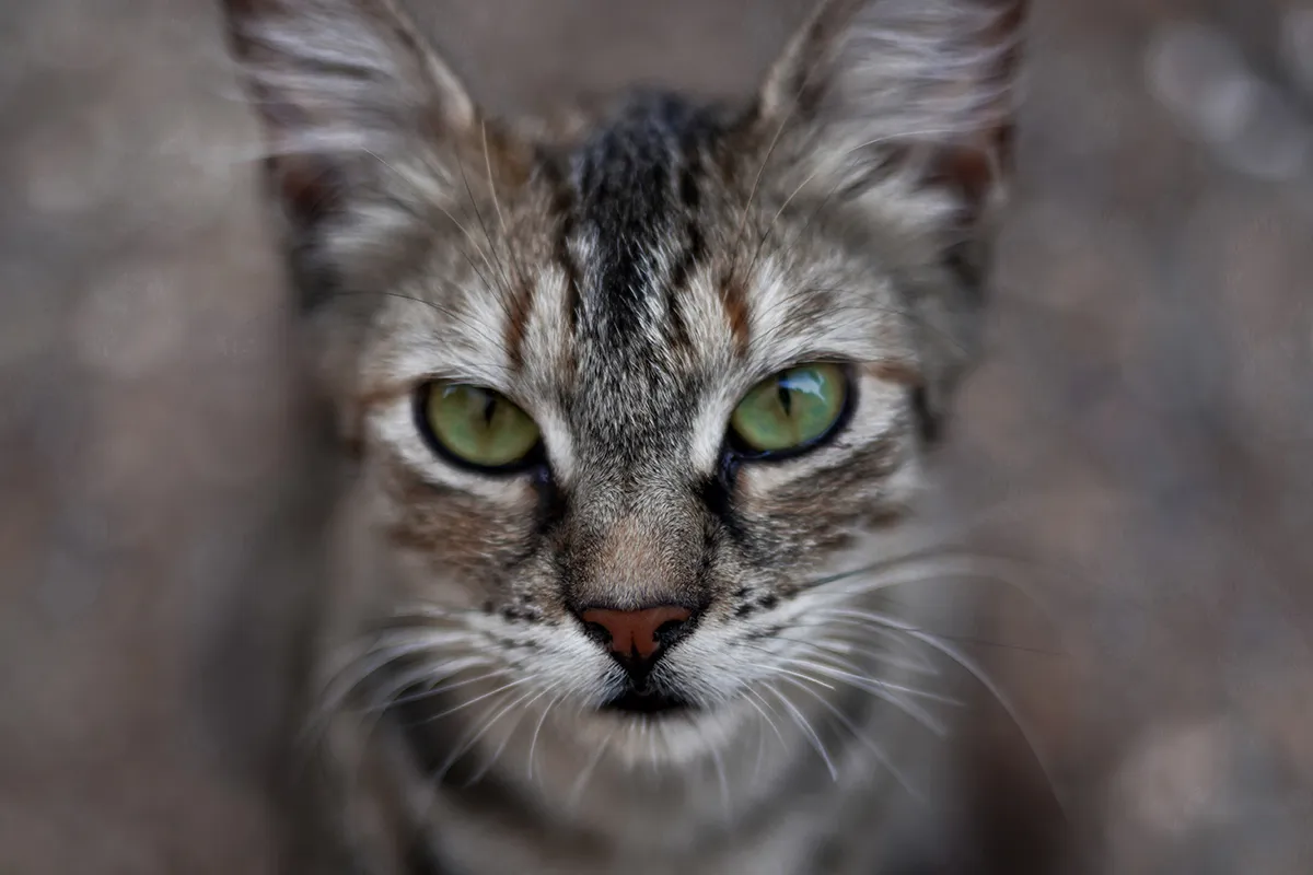 sarah khan jvirwz2fvek unsplash 1