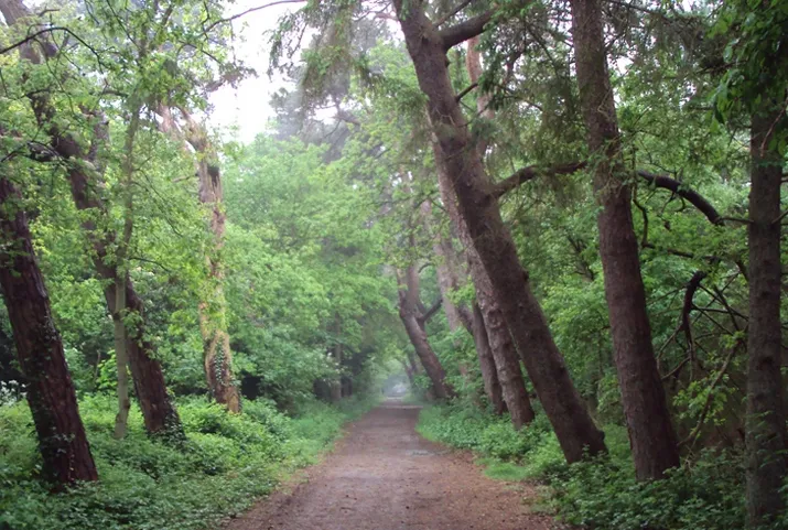 sparrenlaan bergen 2 excursie banner