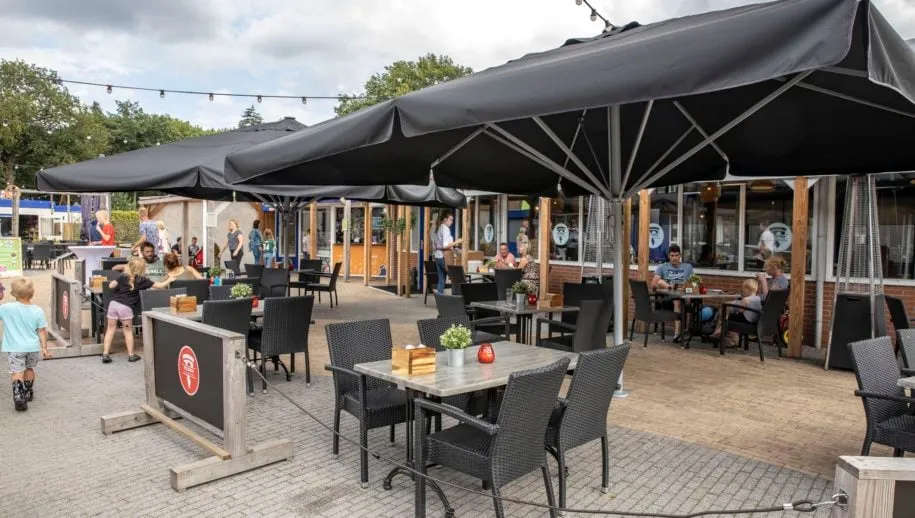 terras 915x518