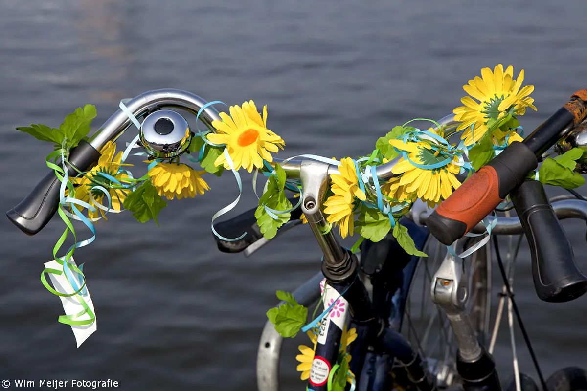 tumblr n2sdwfnczw1svvyvco1 1280