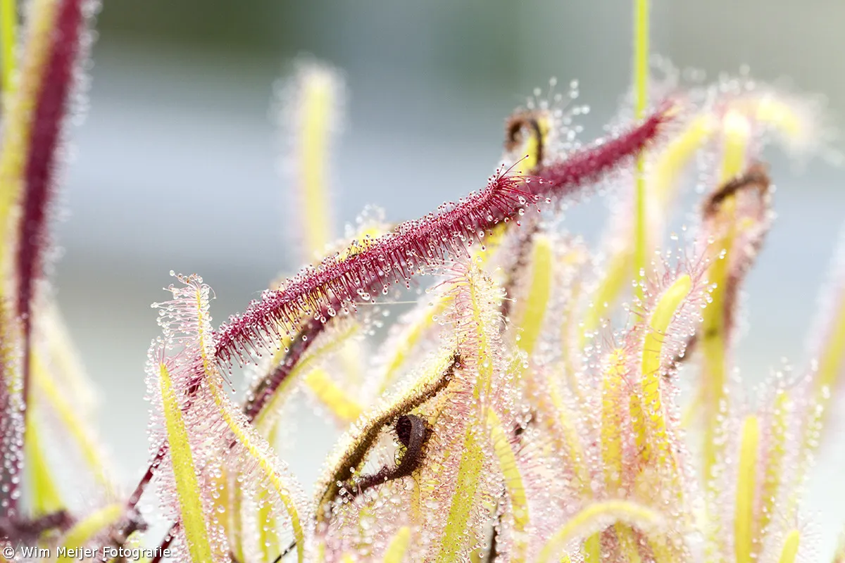 tumblr n66fr4vns61svvyvco1 1280