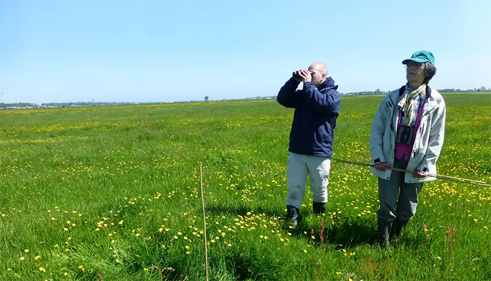 weidevogels kijken peter mol banner