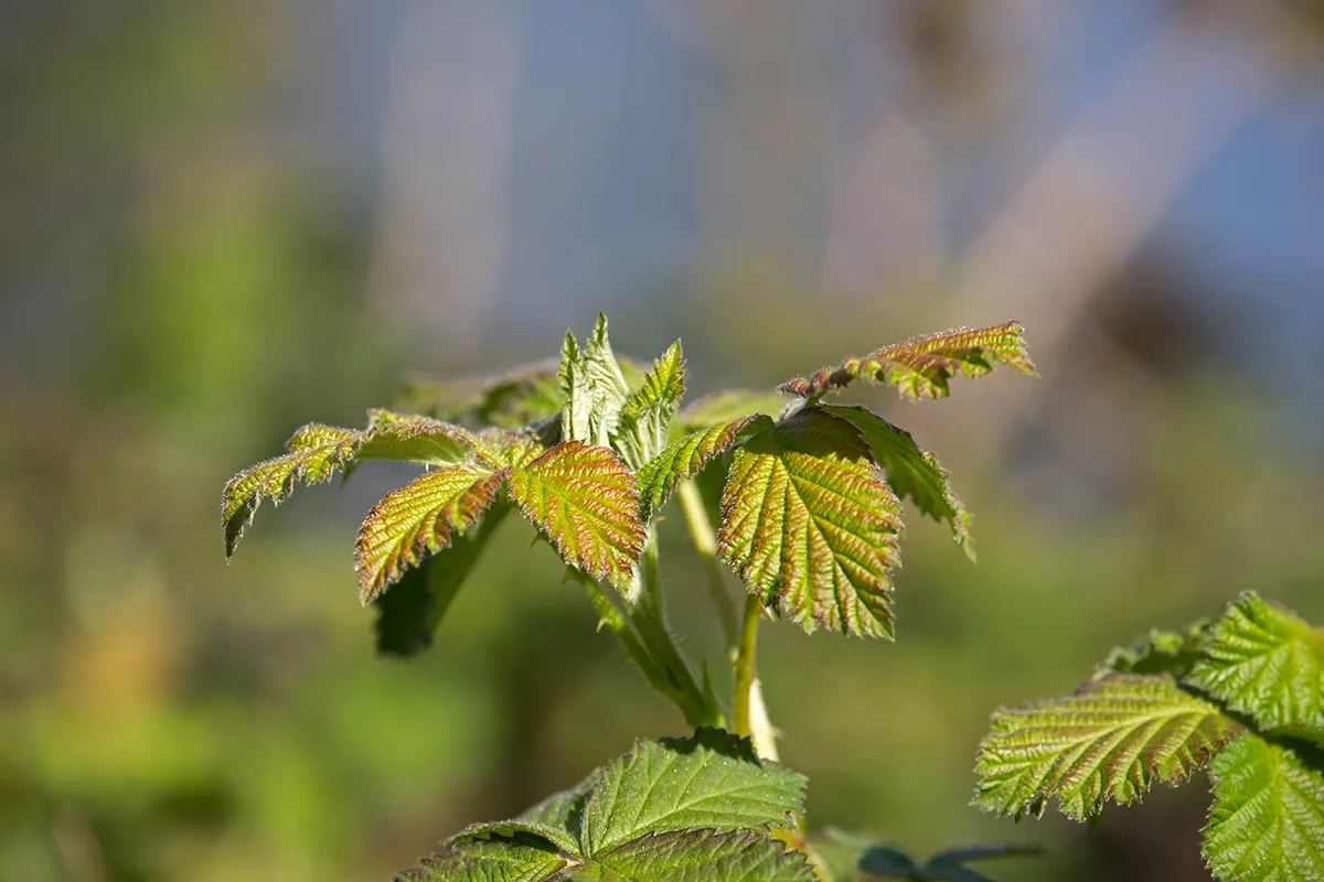 wim meijer fotografie 5i5a7051