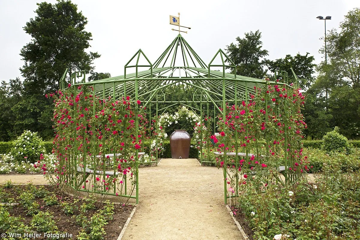 wim meijer fotografie 5i5a9036