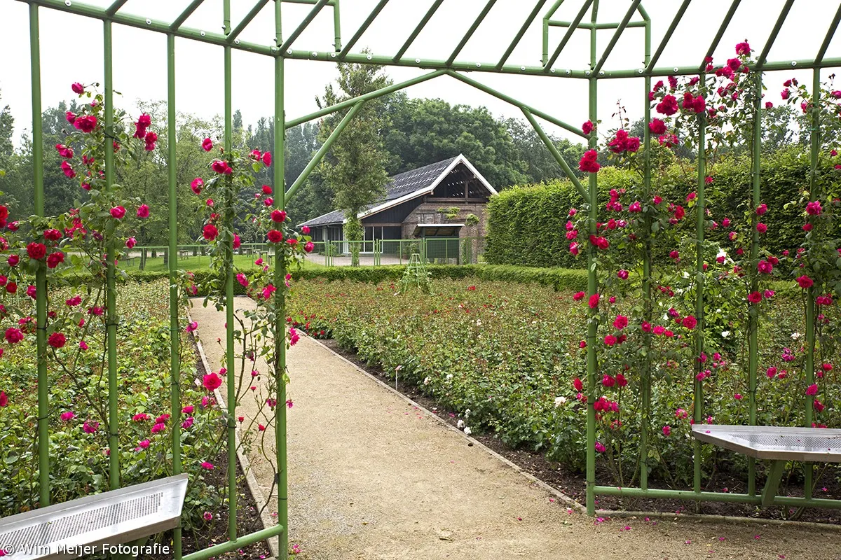 wim meijer fotografie 5i5a9039