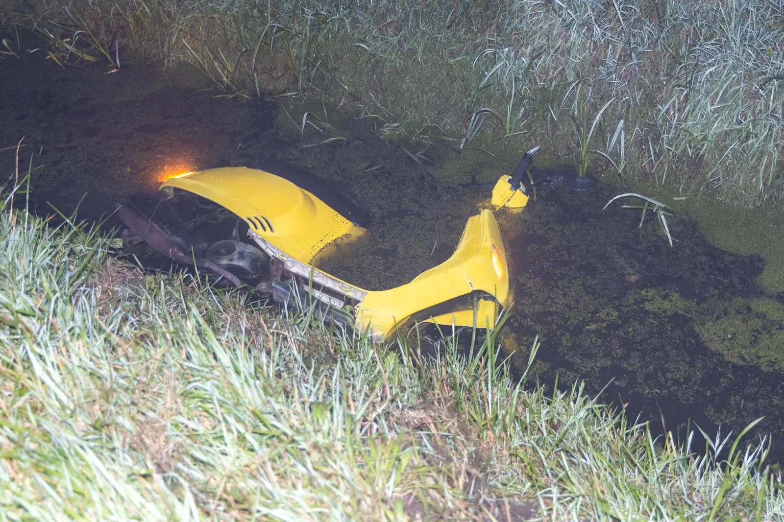 84b833b0 557a 40eb b90d 239dfdaeade5