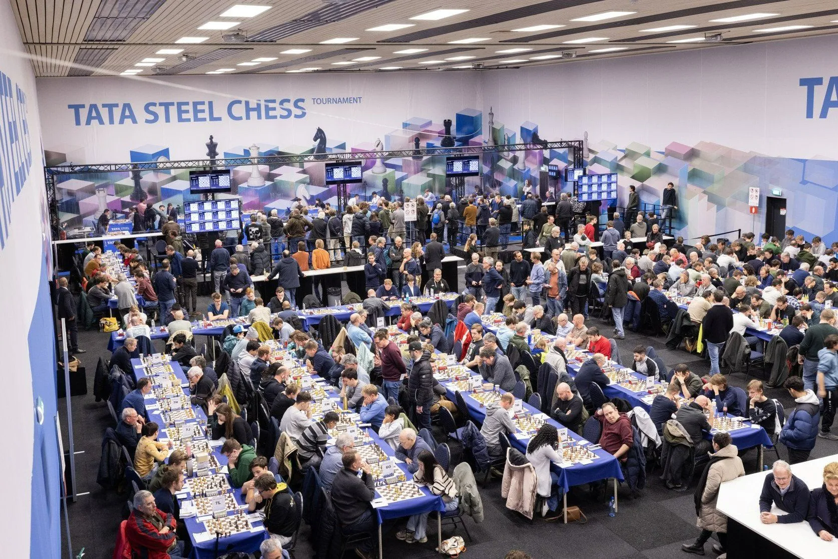 tata steel chess tournament amateurtoernooien 2024