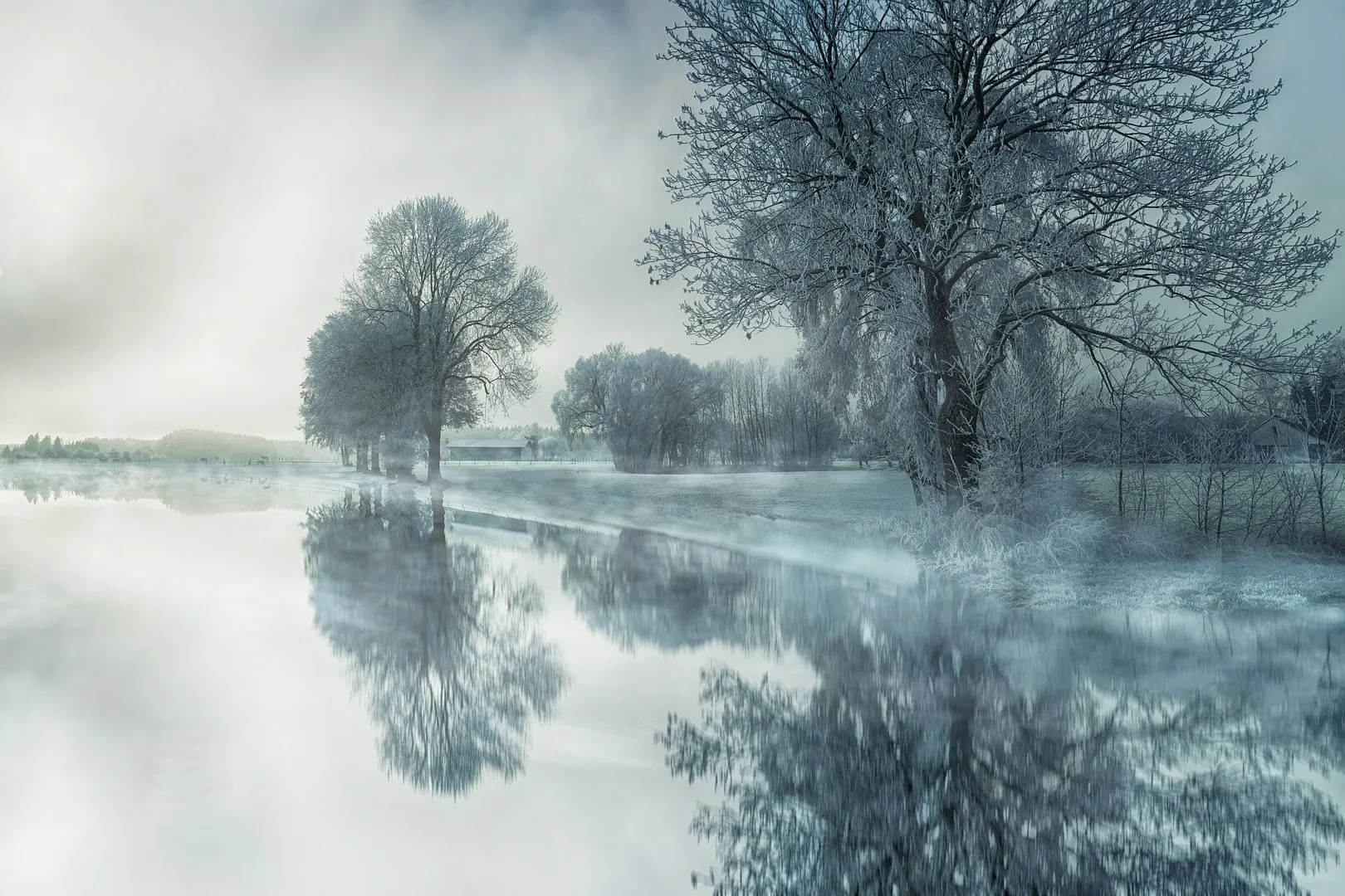 winter kinderboerderij dierendorp 1