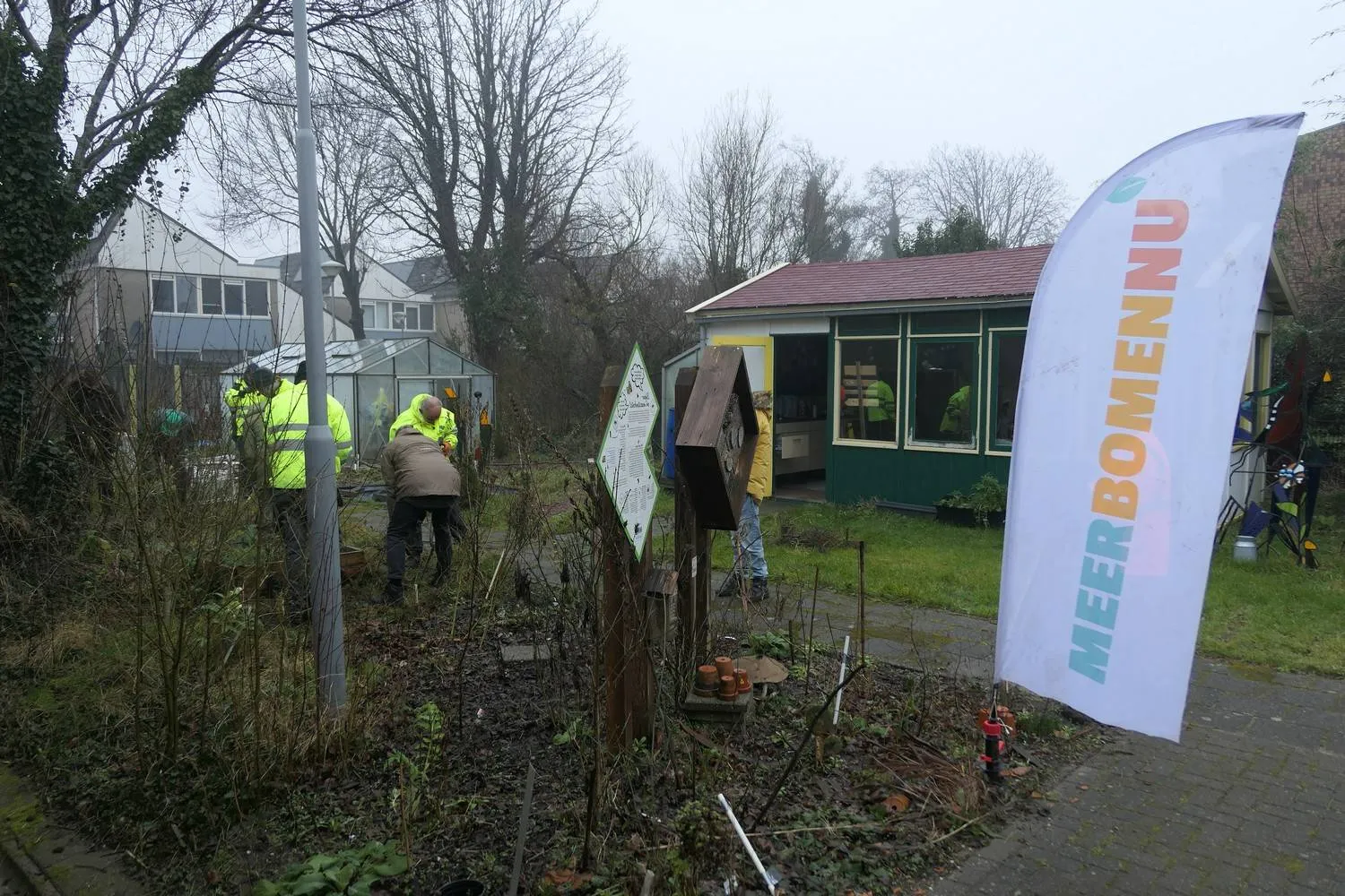 20250212 oogst buurttuin 3a