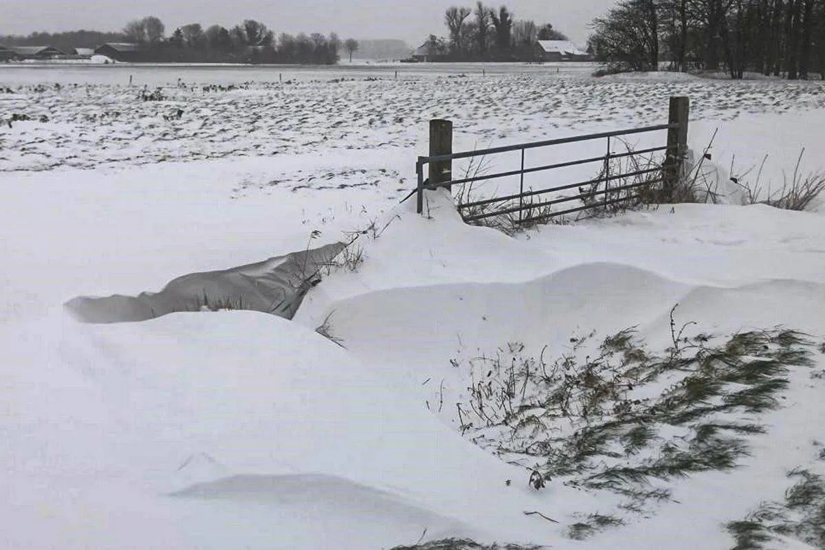 het klimaat en het weer koude winters kopieren