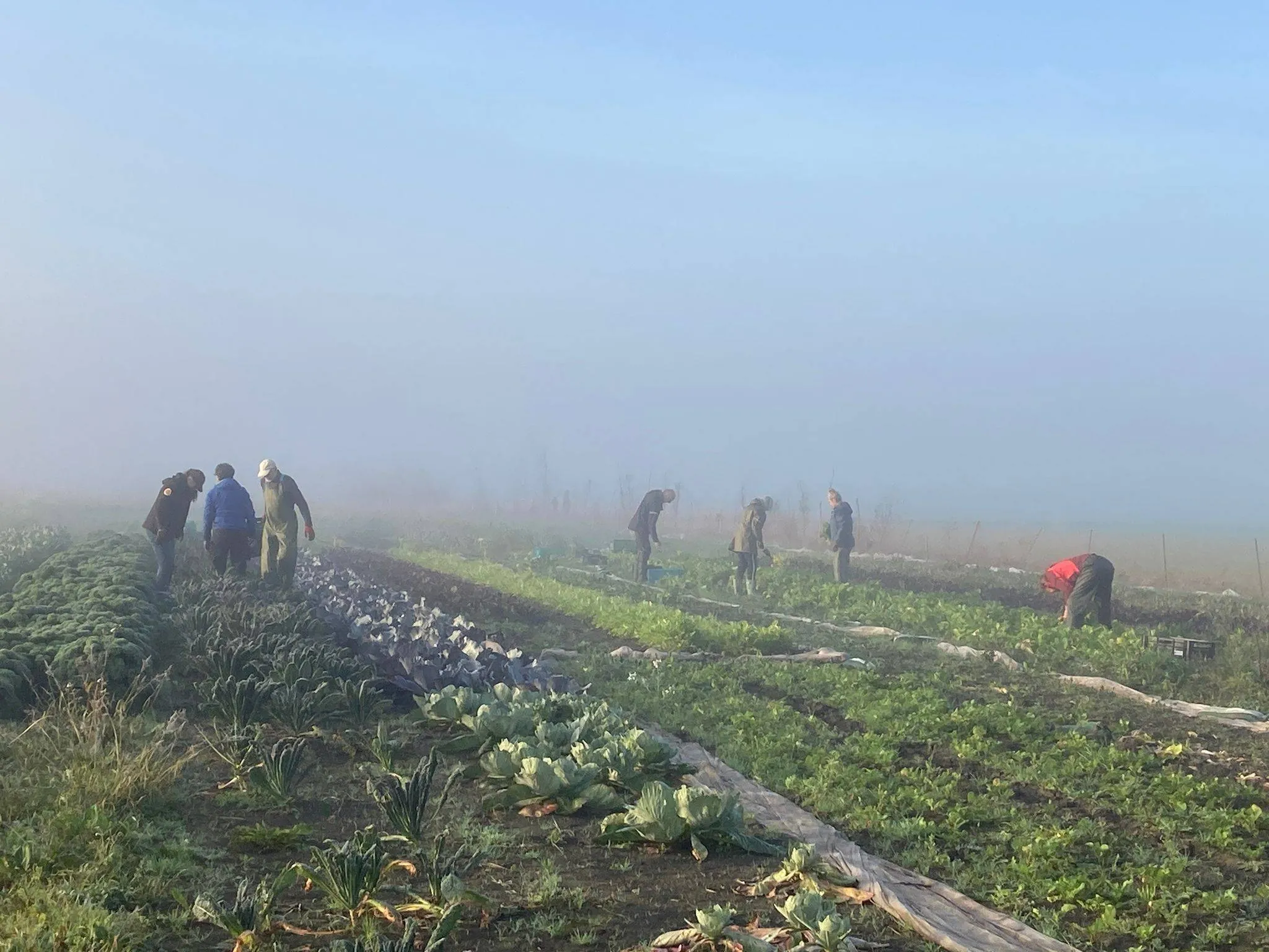 whatsapp image 2024 10 26 at 192352