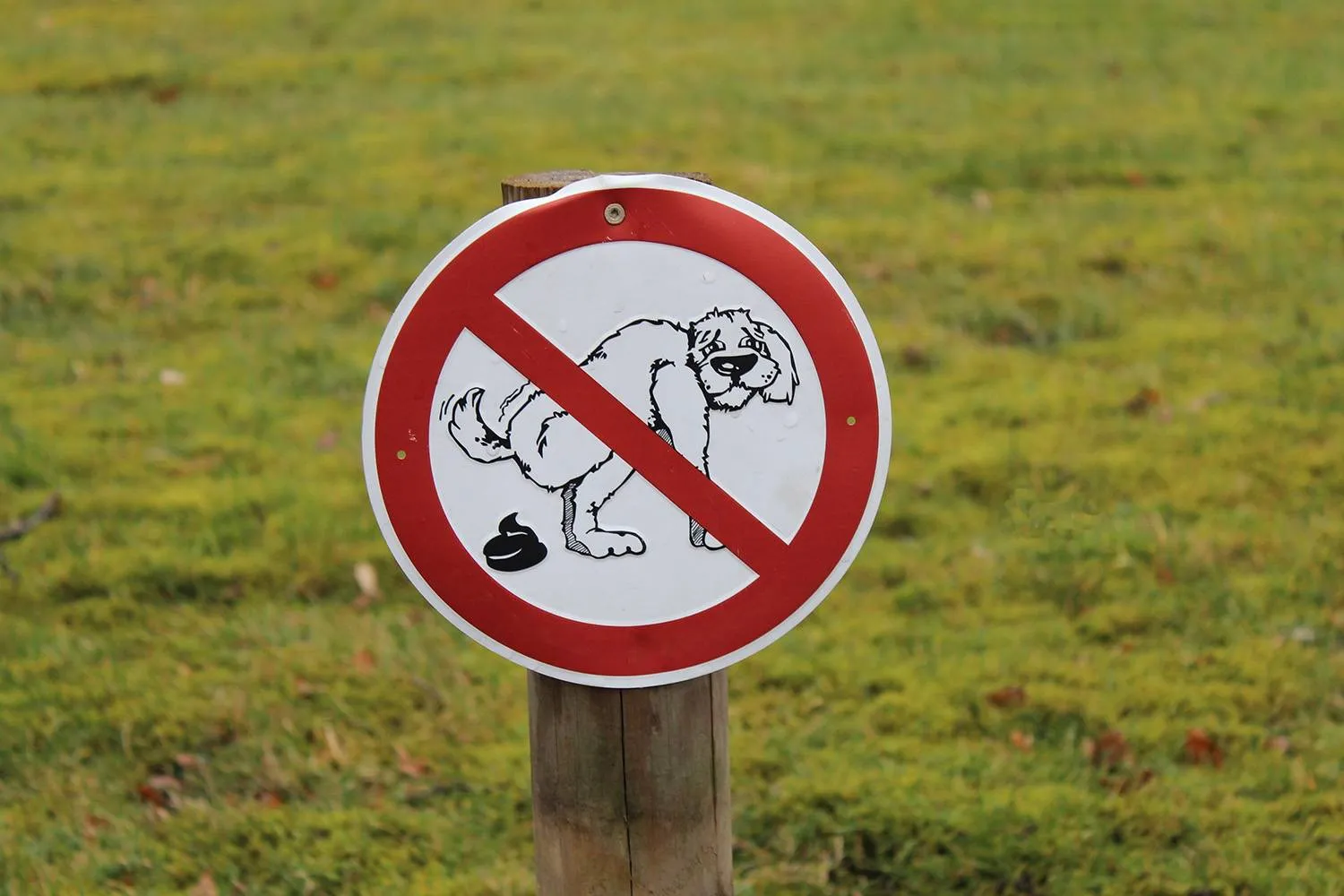 design 01jsf5dat7 1745339480 kopie rawpixel