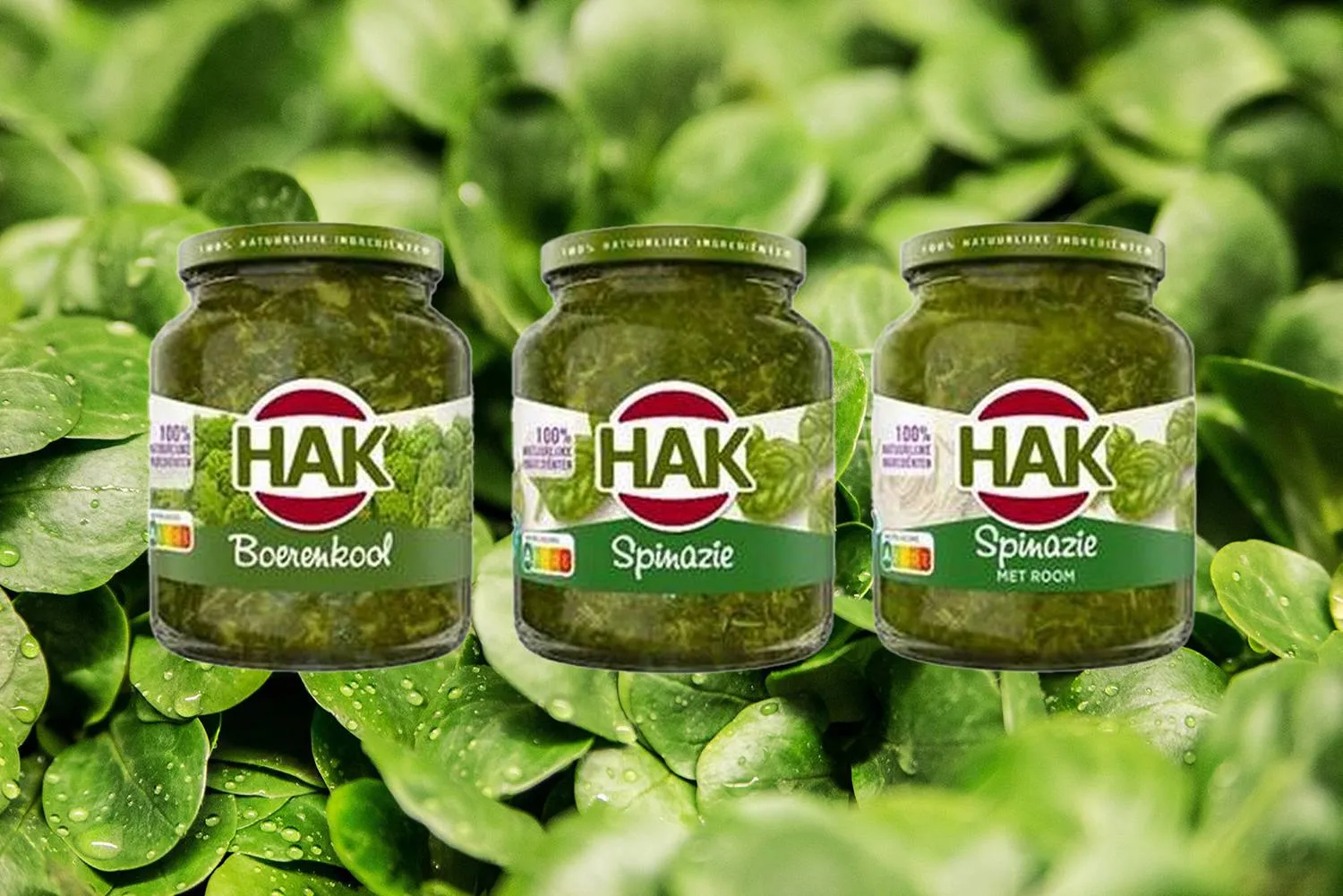 plant leaf food salad green herb produce vegetable garden vegetables frisch flowering plant lettuce leaves lambs lettuce watercress annual plant land plant leaf vegetable fines herbes malabar spinach 989470 kopieren