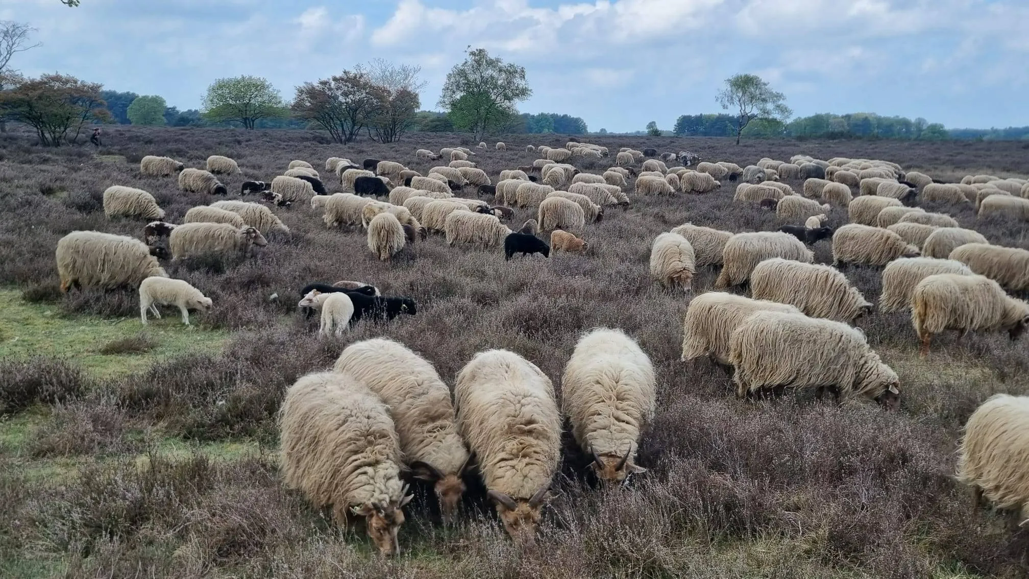 whatsapp image 2025 04 27 at 112757