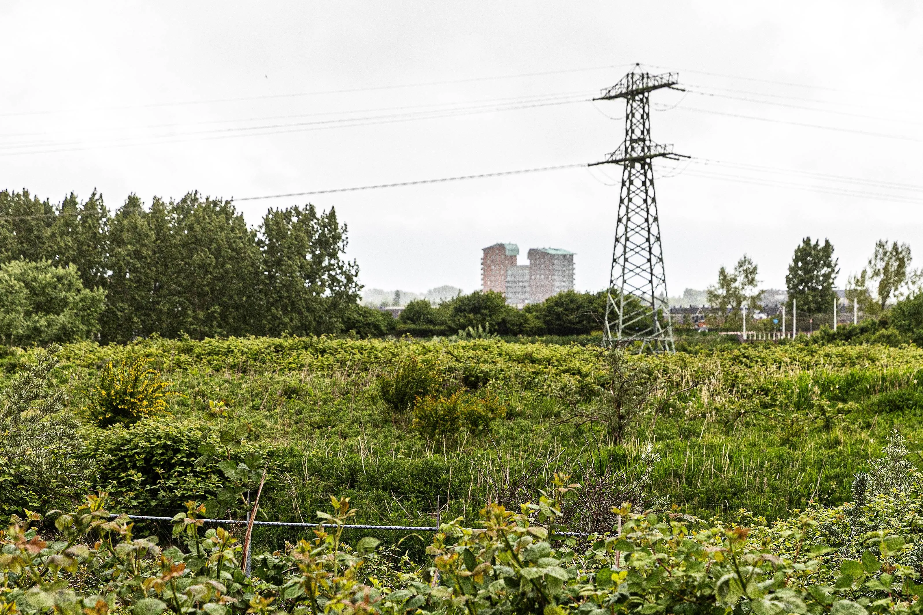 494a3637-aagtenpark-wim-meijer-fotografie