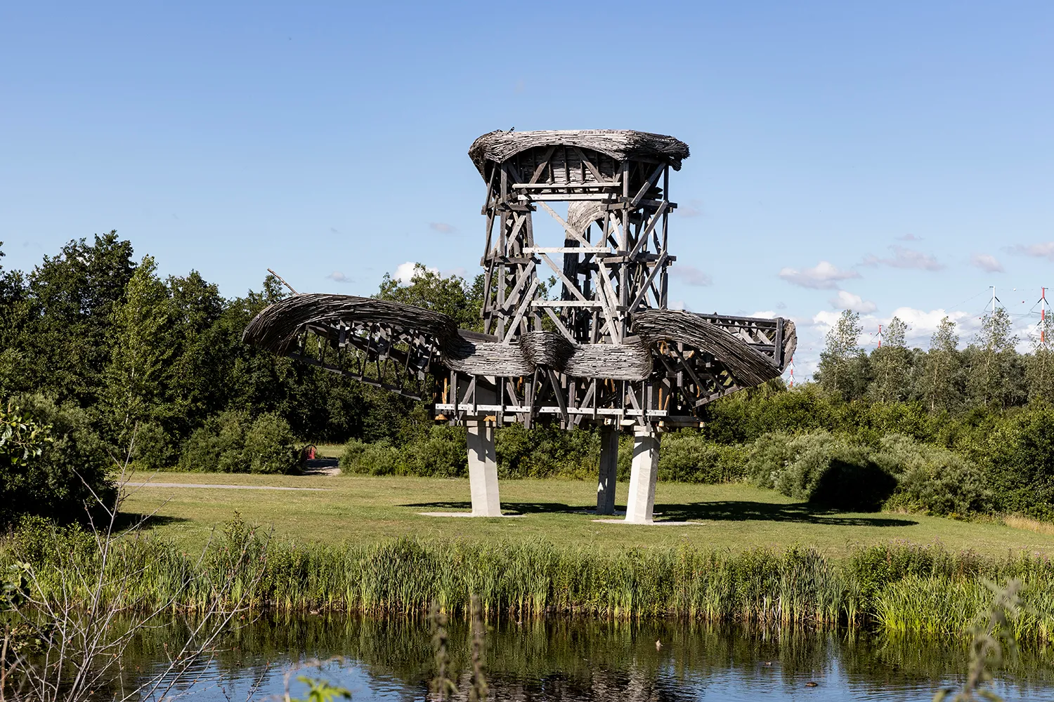 3z1a9816 kopieren waterlelie wim meijer fotografie