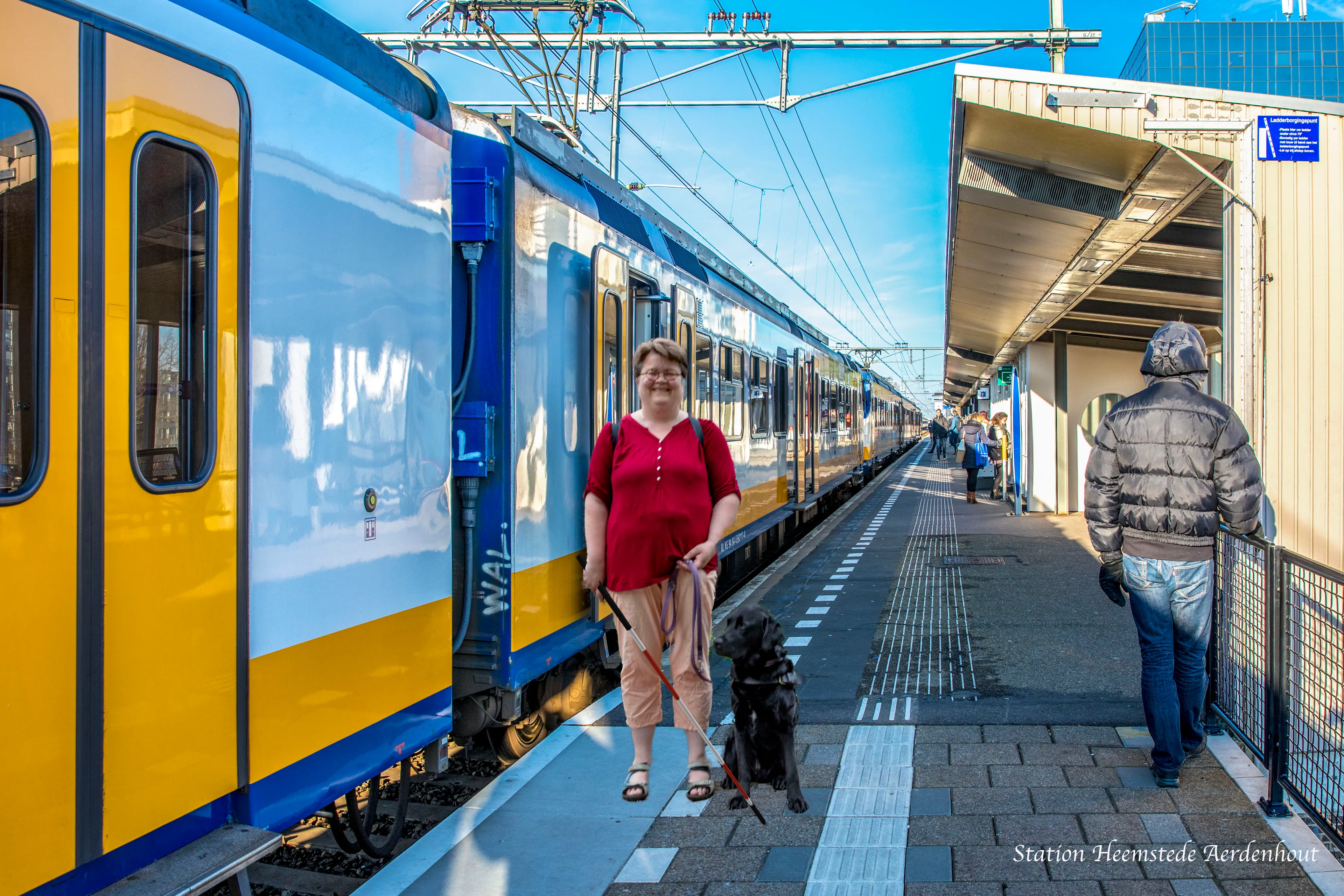 domie trein