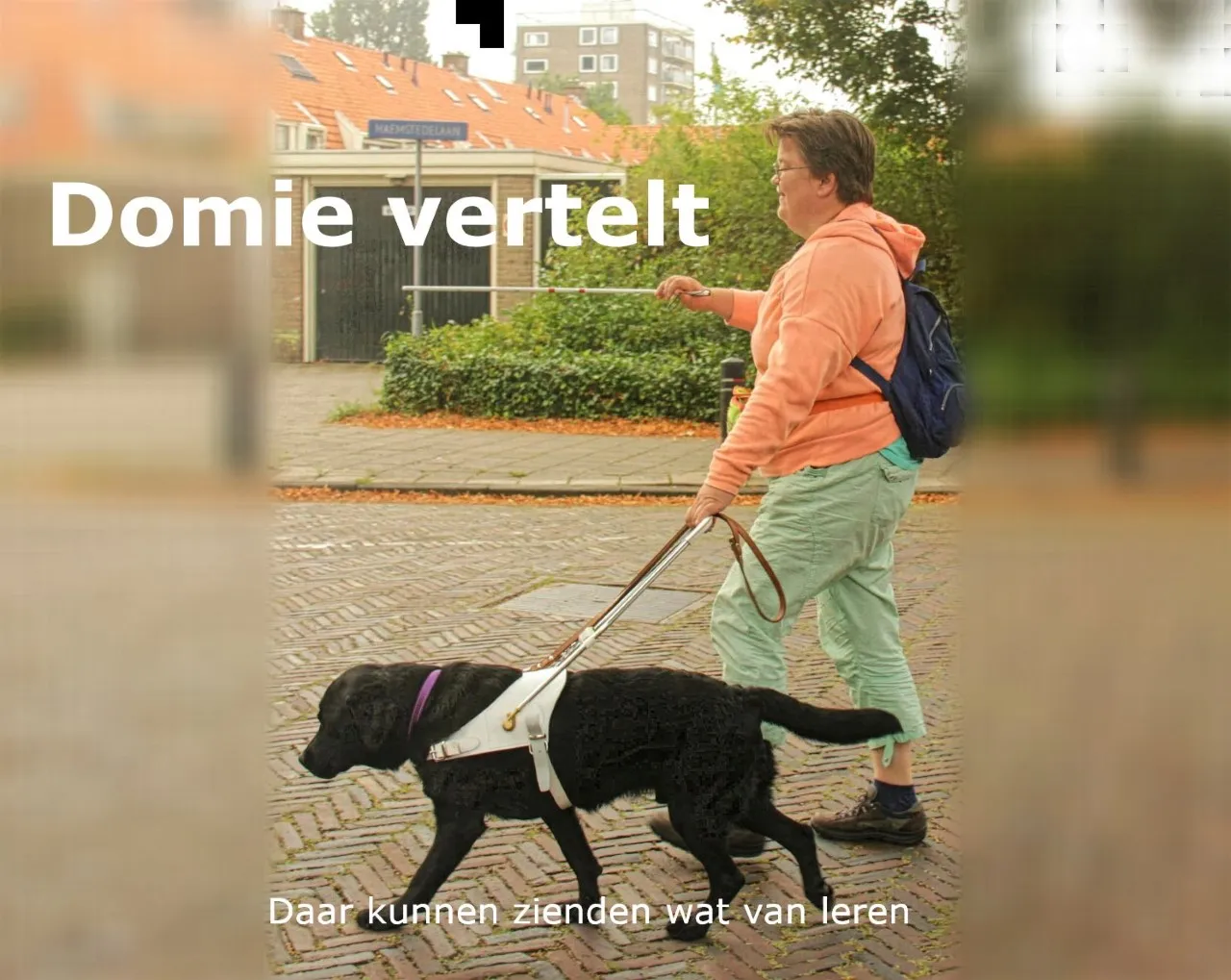 domie