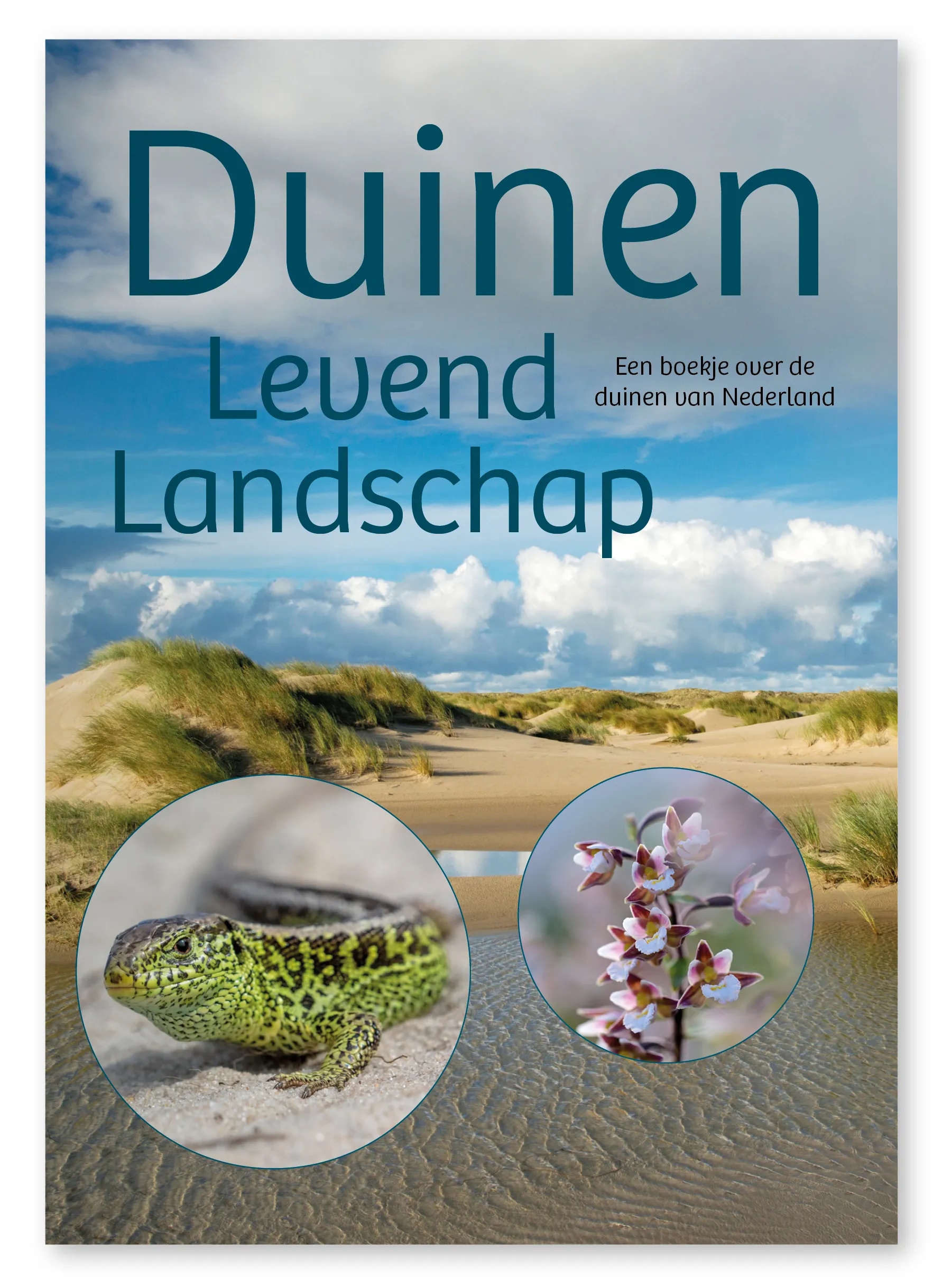 duinen levend landschap voorkant duinbehoud aangeleverd